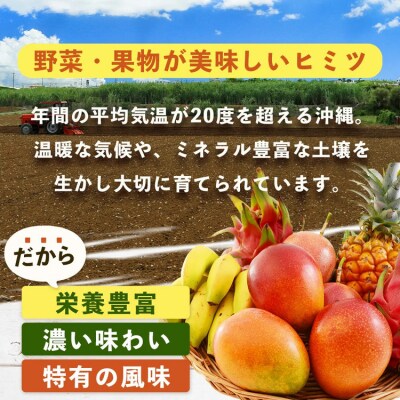 沖縄 石垣島 新鮮 島やさい・くだもの BOX 【 野菜・フルーツ 詰め合わせセット 】1箱