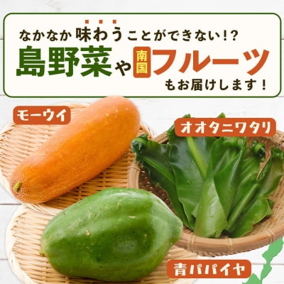 沖縄 石垣島 新鮮 島やさい・くだもの BOX 【 野菜・フルーツ 詰め合わせセット 】1箱