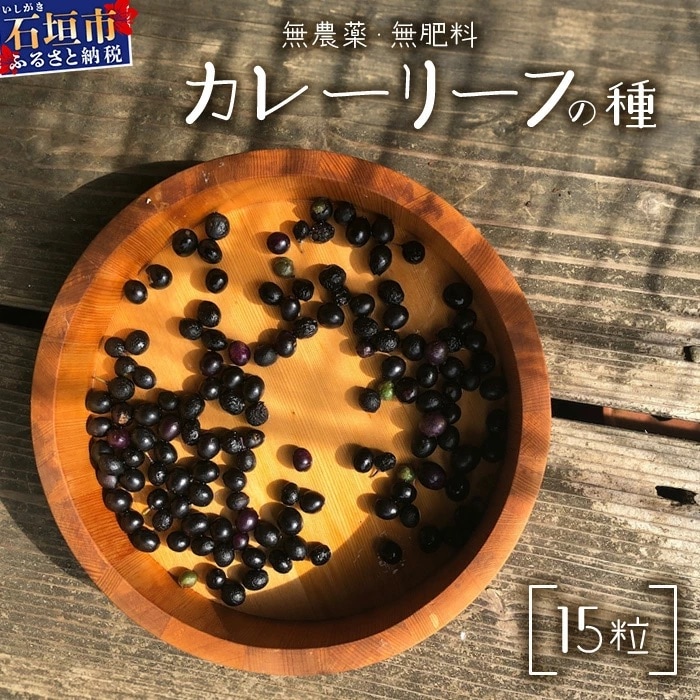 カレーリーフの種　15粒【 沖縄 石垣島 香辛料 種 無農薬 無肥料 】CS-4