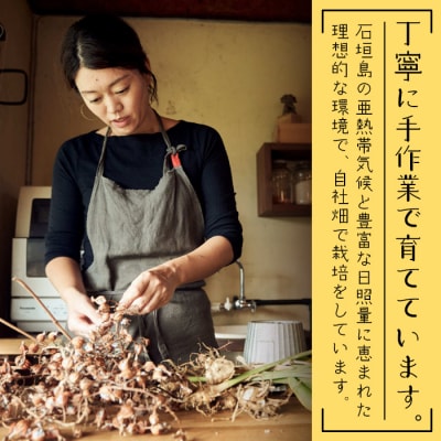 カレーリーフの種　15粒【 沖縄 石垣島 香辛料 種 無農薬 無肥料 】CS-4