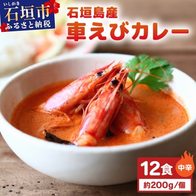 石垣島産車えびカレー(中辛)【冷凍 12食】石垣島のカレー専門店が作るご当地カレー　SK-3