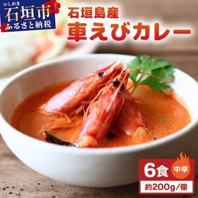 石垣島産車えびカレー(中辛)【冷凍 6食】石垣島のカレー専門店が作るご当地カレー　SK-6