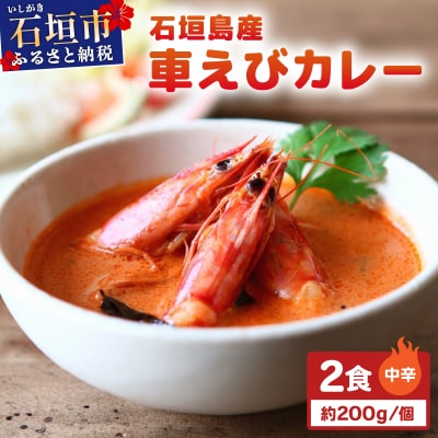 石垣島産車えびカレー(中辛)【冷凍 2食】石垣島のカレー専門店が作るご当地カレー SK-12