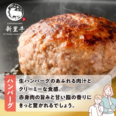 石垣島産 黒毛和牛 新里牛 職人手ごね生ハンバーグ600g & 職人手ごね生ハンバーグの種500g