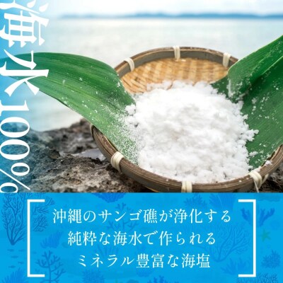 石垣の塩 500g×3 計1.5kg | 沖縄 石垣 塩 調味料 海塩