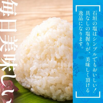 石垣の塩 500g×3 計1.5kg | 沖縄 石垣 塩 調味料 海塩