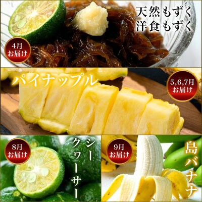 【12回定期便】石垣島の特産品 バラエティ定期便