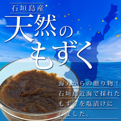 【石垣島特産】天然もずく(塩漬け)たっぷり食べ応え2.25kg(450g×5個)