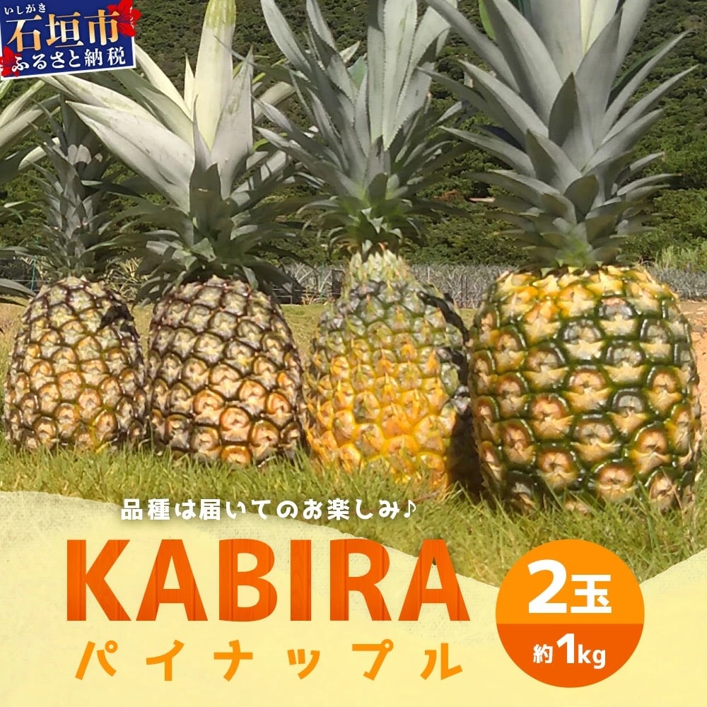 【KABIRAパイナップル2玉1kg以上】♪品種は届いてのお楽しみ♪《2025年5月以降順次発送》