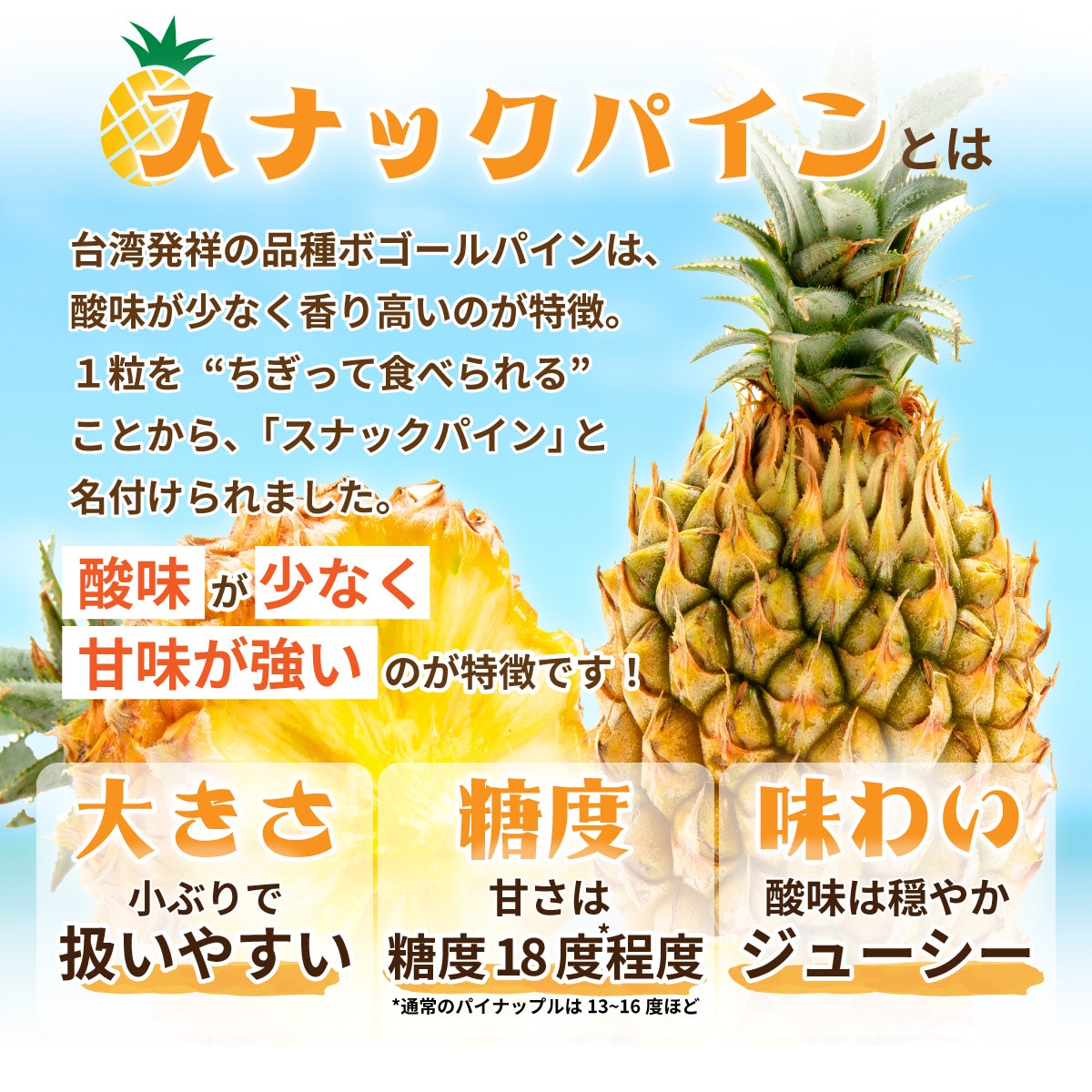 【先行受付】石垣島産 中玉スナックパイン(ボゴール)4玉 合計約4kg 《2025年夏季 順次発送》