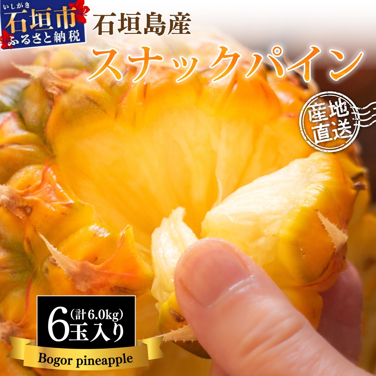 石垣島産 中玉スナックパイン(ボゴール)6玉 合計約6kg 