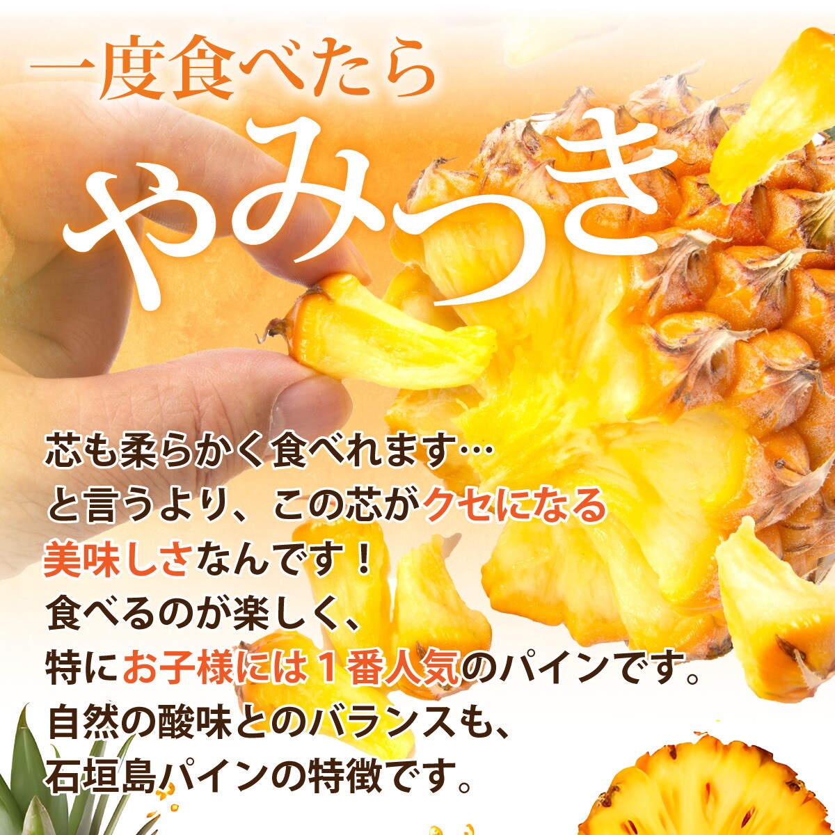 【先行受付】石垣島産 中玉スナックパイン(ボゴール)3玉 合計約3kg 《2025年夏季 順次発送》