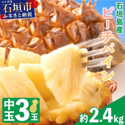 <先行予約>石垣島産 中玉ピーチパイン 3玉 約2.4kg <2026年5月以降発送>