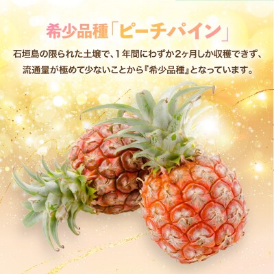 <先行予約>石垣島産 中玉ピーチパイン 3玉 約2.4kg <2026年5月以降発送>