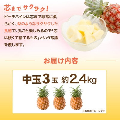 <先行予約>石垣島産 中玉ピーチパイン 3玉 約2.4kg <2026年5月以降発送>