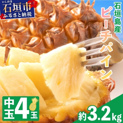 <先行予約>石垣島産 中玉ピーチパイン 4玉 約3.2kg <2026年5月以降発送>