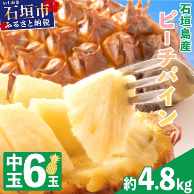 <先行予約>石垣島産 中玉ピーチパイン 6玉 約4.8kg <2026年5月以降発送>