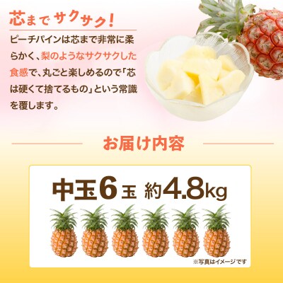 石垣島産 中玉ピーチパイン 6玉 約4.8kg 