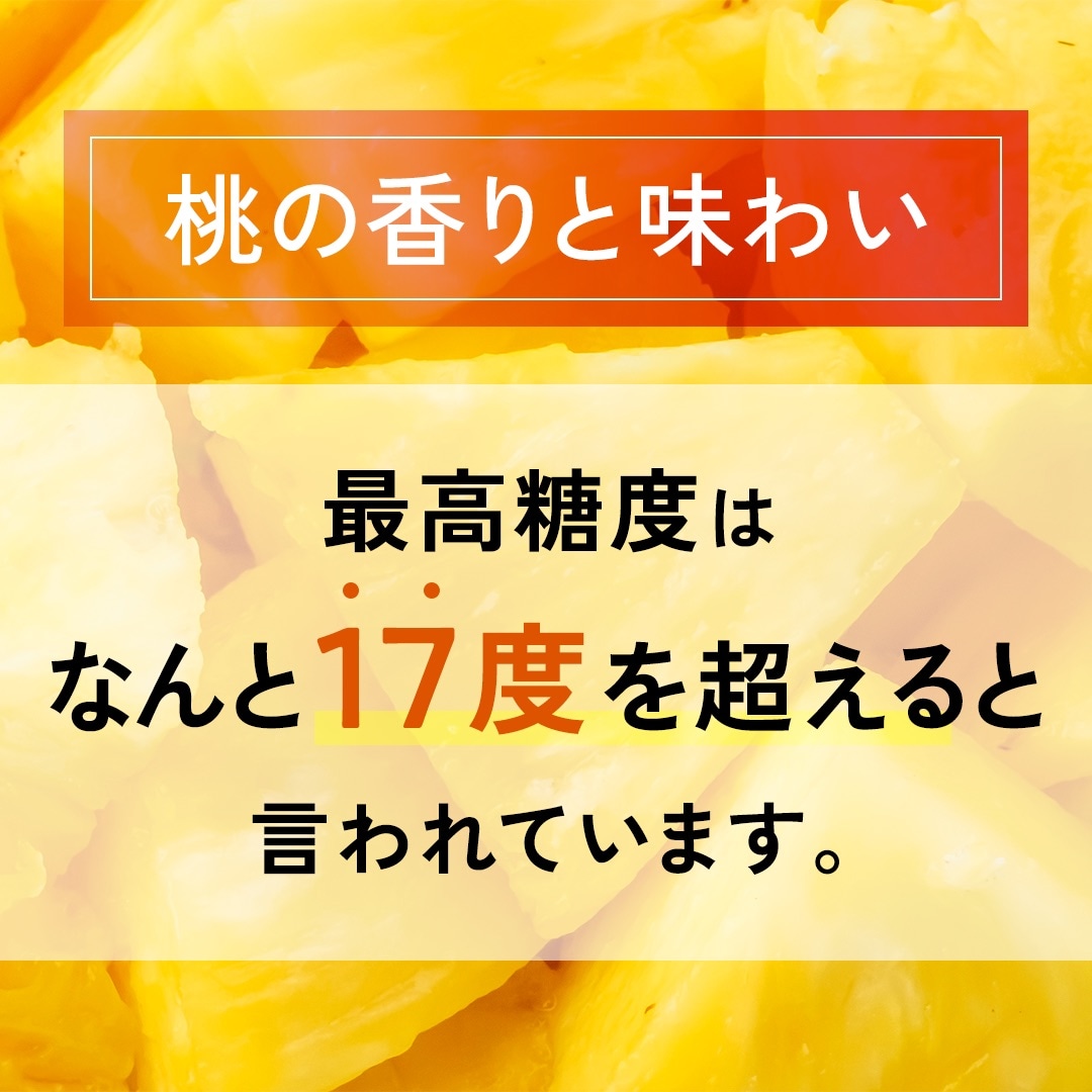 【先行受付】石垣島産 中玉ピーチパイン 6玉 合計約4.8kg《2025年夏季 順次発送》