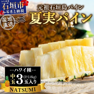 【先行予約】石垣島産 夏実パイン (ハワイ種) 中玉3玉 約2.8kg《2026年7月下旬発送》