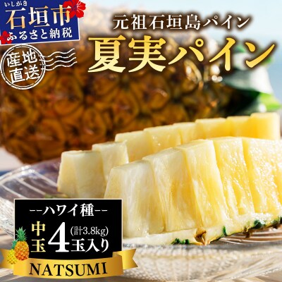 【先行予約】石垣島産 夏実パイン (ハワイ種) 中玉4玉 約3.8kg《2026年7月下旬発送》