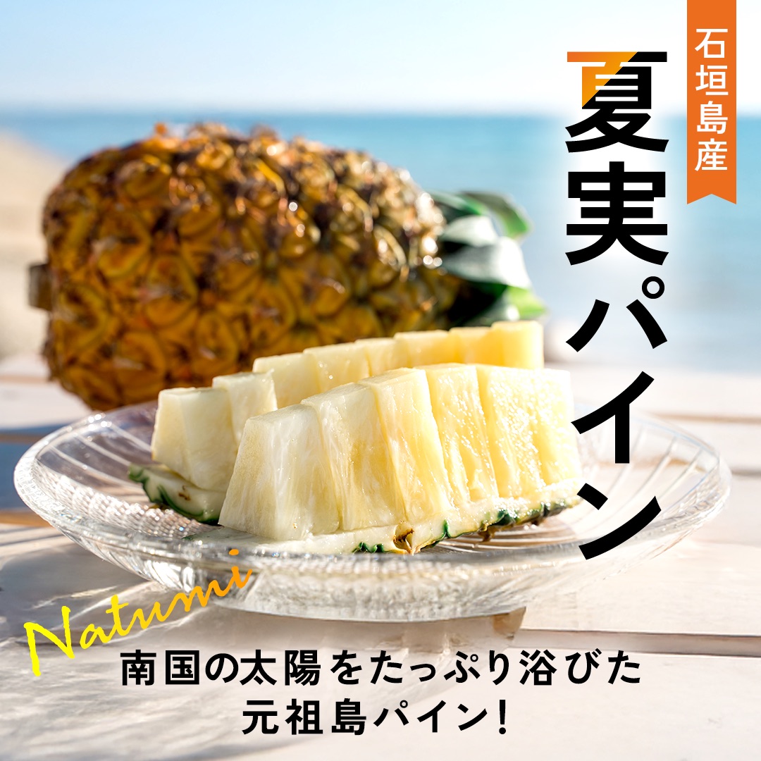 【先行受付】石垣島産 中玉 夏実パイン(島パイン)4玉 合計約3.8kg《2025年夏季 順次発送》