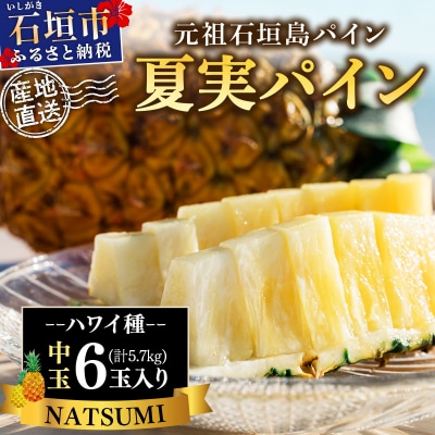 【先行予約】石垣島産 夏実パイン (ハワイ種) 中玉6玉 約5.7kg《2026年7月下旬発送》
