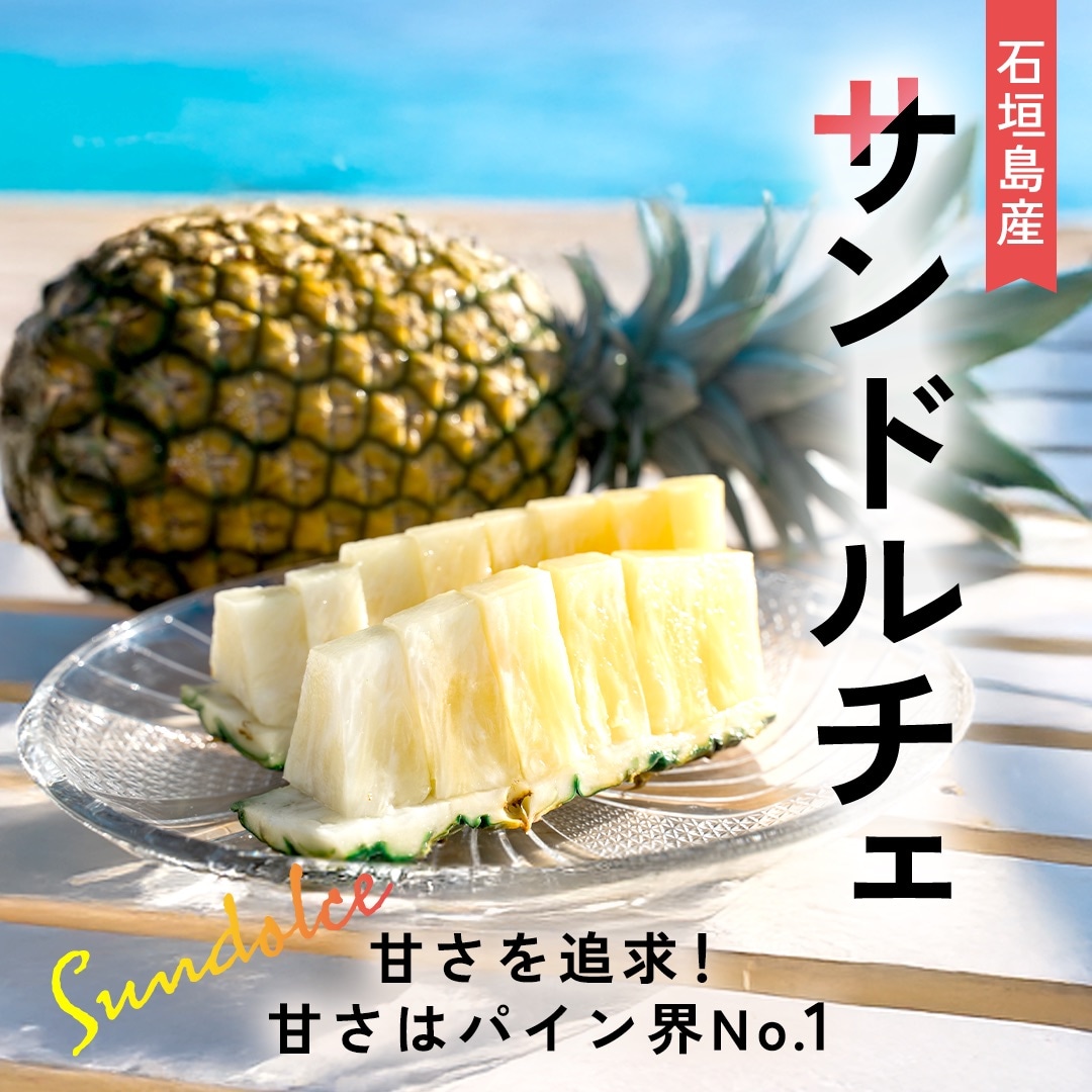 【先行受付】石垣島産 中玉サンドルチェ6玉 合計約5.7kg《2025年夏季 順次発送》
