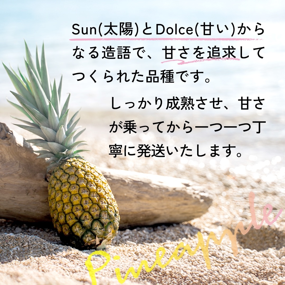 【先行受付】石垣島産 中玉サンドルチェ6玉 合計約5.7kg《2025年夏季 順次発送》