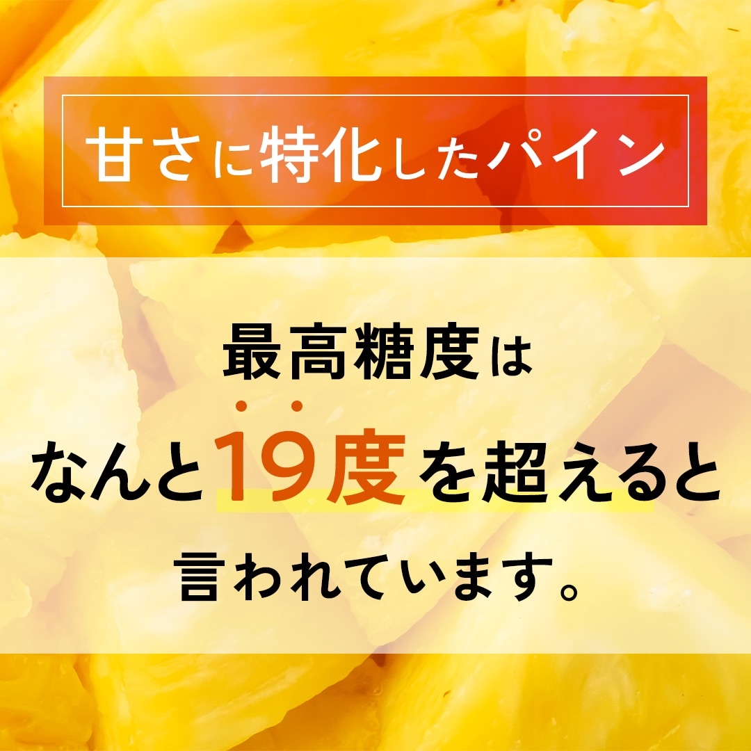 【先行受付】石垣島産 中玉サンドルチェ6玉 合計約5.7kg《2025年夏季 順次発送》