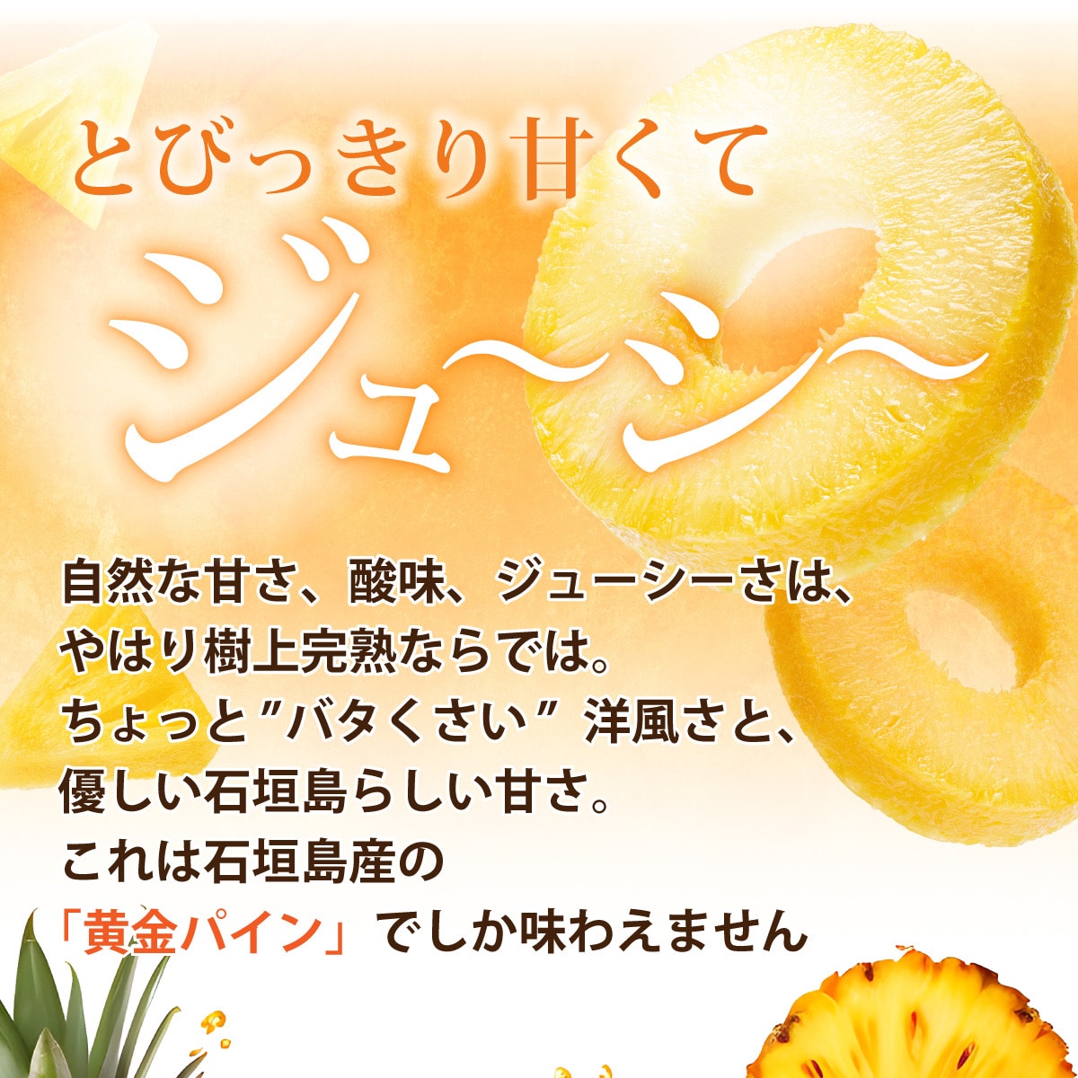 <先行予約> 石垣島産 黄金パイン 中玉 2玉 約2.6kg <2026年7月以降発送>