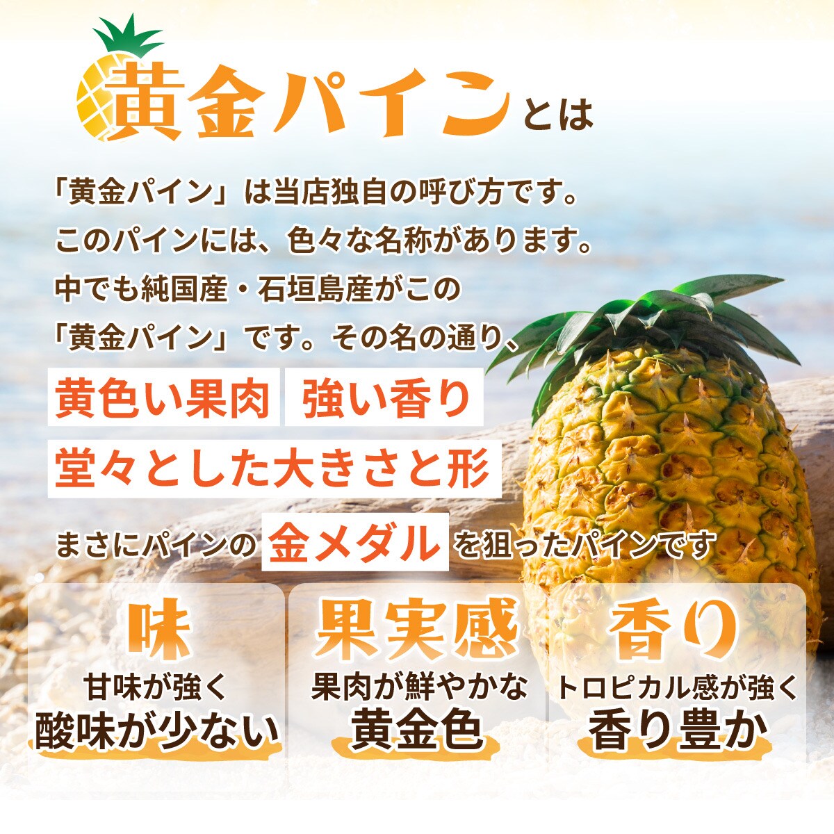 【先行受付】石垣島産 中玉 黄金パイン 3玉 合計約3.9kg《2026年7月 順次発送》