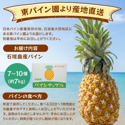 石垣島パイン(ハワイ種またはピーチパイン) 7~10個(約7kg) 【6月中旬頃より順次発送】