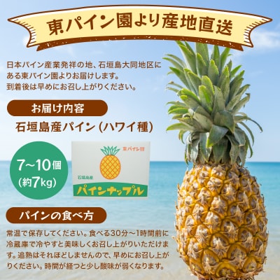石垣島パイン 7~10個 約7kg ハワイ種 【6月中旬頃より順次発送予定】PE-01
