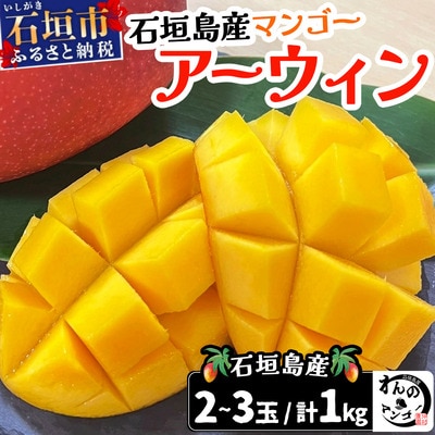 <わんのマンゴー>石垣島産マンゴー【アーウィン】 合計1kg  NA-03