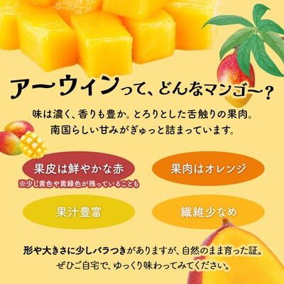 <わんのマンゴー>石垣島産マンゴー アーウィン種 合計1kg <2026年4月以降発送>