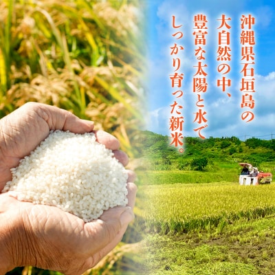 【石垣島産】日本最南端の早い新米(清衛門)2kg×2袋 TN-01
