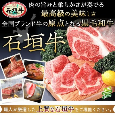 石垣牛 特選 モモ 焼肉 400g E-43