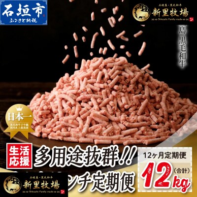 石垣島産 黒毛和牛 新里牛 多用途抜群!パラパラミンチ 定期便全12回(毎月1kg×12回)