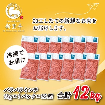 石垣島産 黒毛和牛 新里牛 多用途抜群!パラパラミンチ 定期便全12回(毎月1kg×12回)