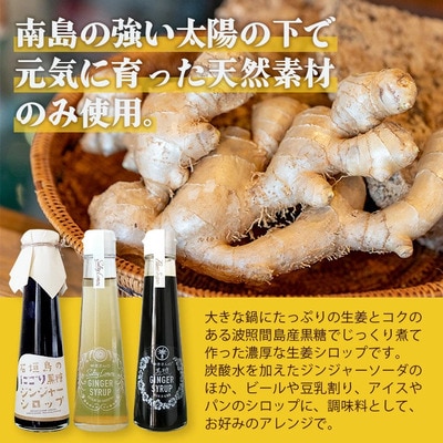 【12カ月定期便】ジンジャーシロップ3本セット飲み比べ 12ヶ月 定期便