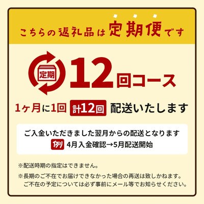 【12カ月定期便】ジンジャーシロップ3本セット飲み比べ 12ヶ月 定期便