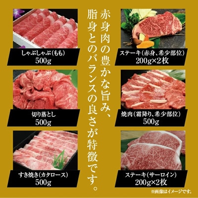 【6回定期便】石垣島きたうち牧場プレミアムビーフ 詰め合わせ