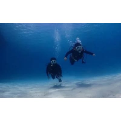 スキューバダイビングライセンス取得講習(Cカード)NAUI MP-1