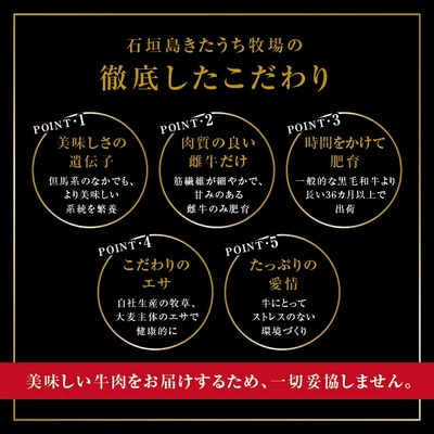 きたうち牧場プレミアムビーフ宝石箱 合計3kg AM-1