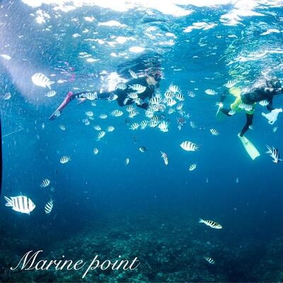 ダイビングなどに使える チャーターボート利用券 MP-3