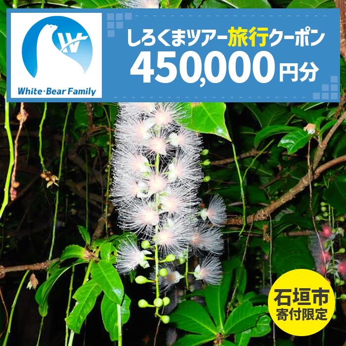 【石垣市】しろくまツアーで利用可能なWEB旅行クーポン (450,000円分)