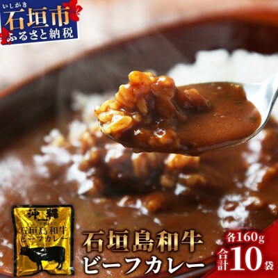 石垣島和牛ビーフカレー 160g×10袋【合計1.6kg】お土産にも大人気のご当地カレー