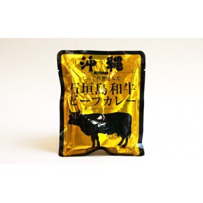 石垣島和牛ビーフカレー 160g×10袋【合計1.6kg】お土産にも大人気のご当地カレー