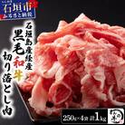 <わんの牛>石垣島産経産黒毛和牛 切り落とし 250g×4袋 合計1kg NA-02